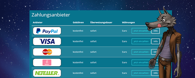 Platin Casino Zahlungsmethoden